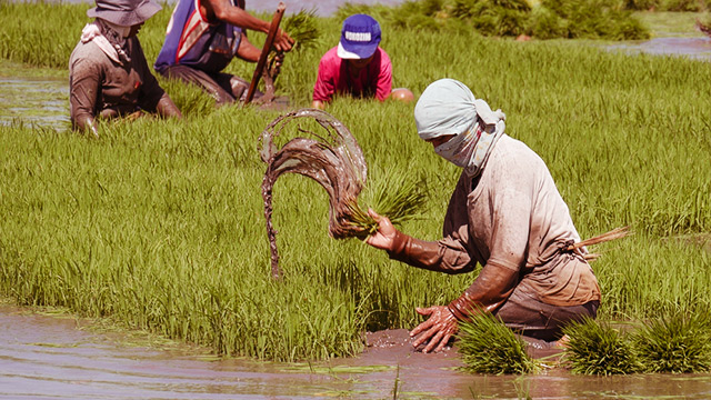 Agri-based personnel exempted from home quarantine, DILG 10 says