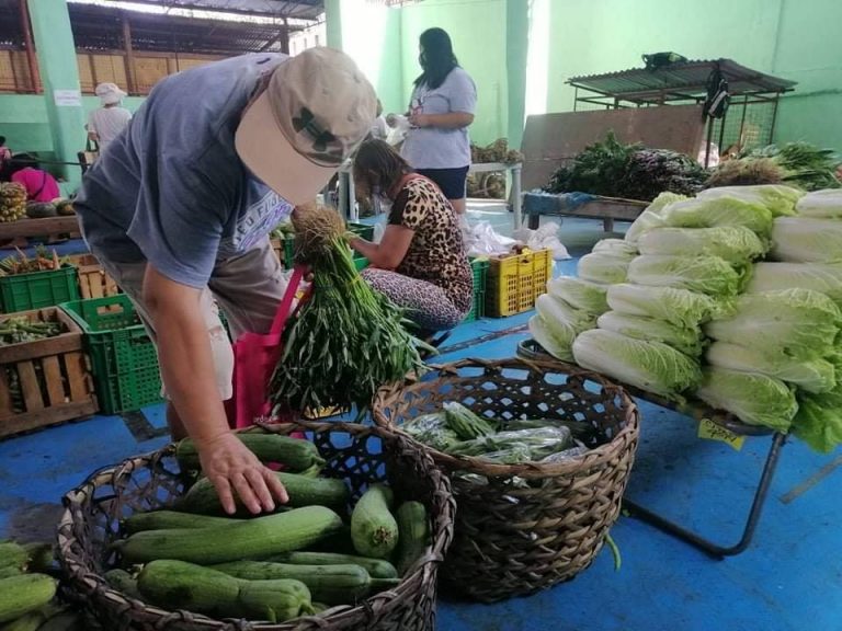 Mobile market helps CDO farmers, fisherfolk earn P5.9-M since April